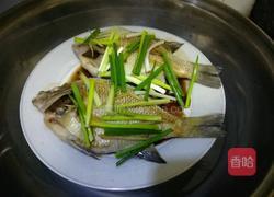清蒸太阳鱼的做法图解4