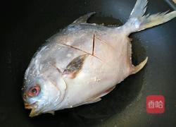 家常味红烧鲳鱼的做法图解5