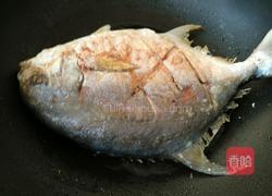 家常味红烧鲳鱼的做法图解6