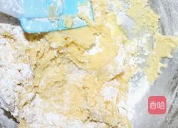 核桃酥饼的做法图解5