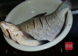 香香红烧鳊鱼的做法图解1