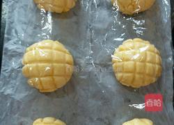 椰蓉菠萝包的做法图解16