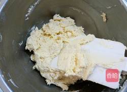 曲奇饼干的做法图解6