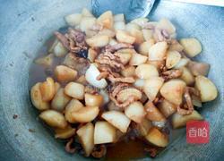 萝卜烧肉的做法图解9