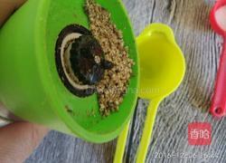 芝麻薄脆饼（无油无糖）的做法图解2