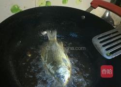 干烧鲫鱼的做法图解1