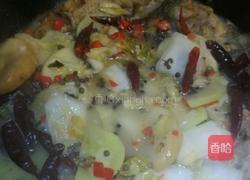 干烧鲫鱼的做法图解3