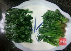 口蘑扒菠菜的做法图解6