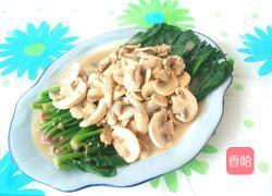 口蘑扒菠菜的做法图解12