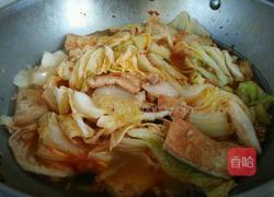 肉末大白菜炖豆腐的做法图解18