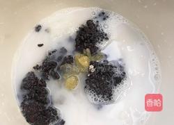 黑米椰汁炖燕窝的做法图解4