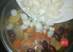 玉米板栗腰骨汤的做法图解10