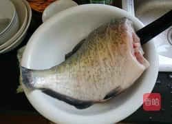蚝油汤鳊鱼的做法图解1