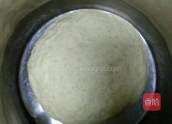 风味独特的俄罗斯大列巴的做法图解4