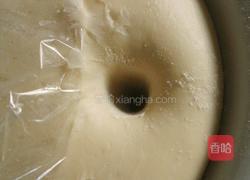 汤种餐包的做法图解9