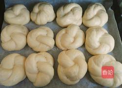 汤种餐包的做法图解18