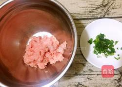 茄汁猪肉丸的做法图解2