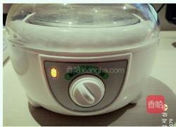 自制原味酸奶的做法图解3