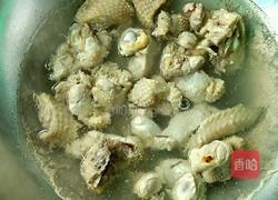 鸡肉炖粉条的做法图解4