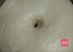 吐司（玉米油版）的做法图解9