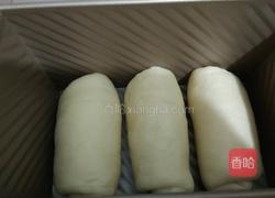 吐司（玉米油版）的做法图解13