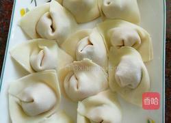 香菇肉馅馄饨的做法图解7