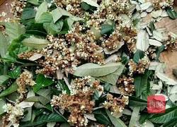 纯手工枇杷露的做法图解2