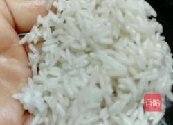 香菇玉米瘦肉粥的做法图解4