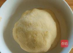 红薯麻球的做法图解4