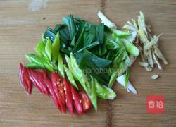 酒酿烧鲤鱼的做法图解2