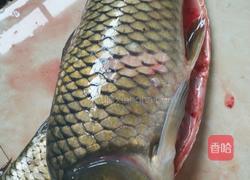 麻辣汤鱼片的做法图解1