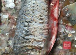 麻辣汤鱼片的做法图解2