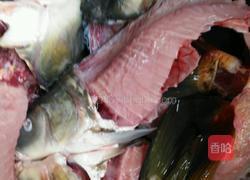 麻辣汤鱼片的做法图解3