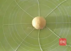 Pumpkin Floss Bread Recipe Illustration 14