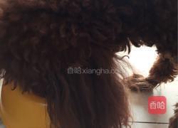 自制狗粮的做法图解14