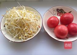 番茄炒豆芽的做法图解1