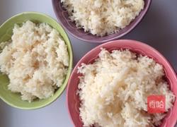 焖米饭的做法图解4