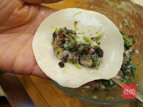取一张饺子皮,中间放上饺子馅。