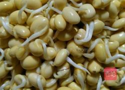 胡萝卜圈黄豆小芽的做法图解1