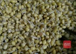 胡萝卜圈黄豆小芽的做法图解2