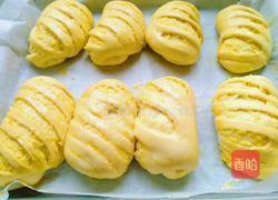 汤种椰蓉面包的做法图解21