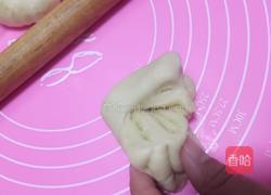 杏仁椰蓉蝴蝶包的做法图解16