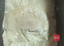 面包机版白馒头的做法图解1
