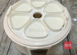 自制蓝莓酸奶的做法图解3