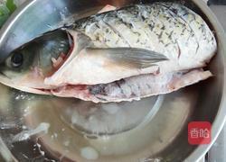 红烧鲩鱼的做法图解2