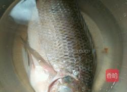 粤式清蒸鱼的做法图解1
