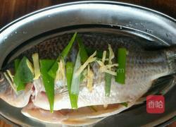 粤式清蒸鱼的做法图解6
