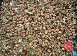 小鱼花生米的做法图解4