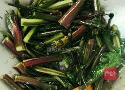 素炒苔子菜的做法图解4
