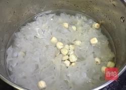 银耳莲子红枣羮的做法图解3